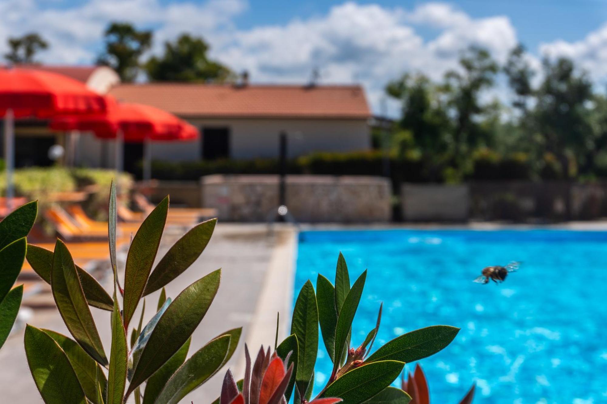Agriturismo Il Tripesce Vada Bagian luar foto