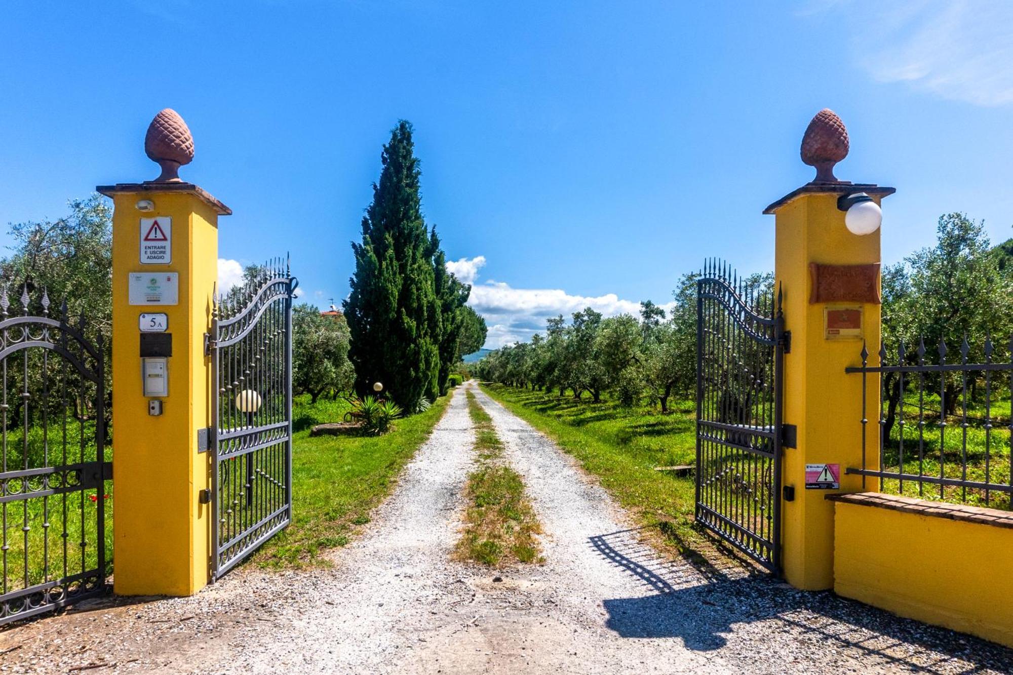 Agriturismo Il Tripesce Vada Bagian luar foto