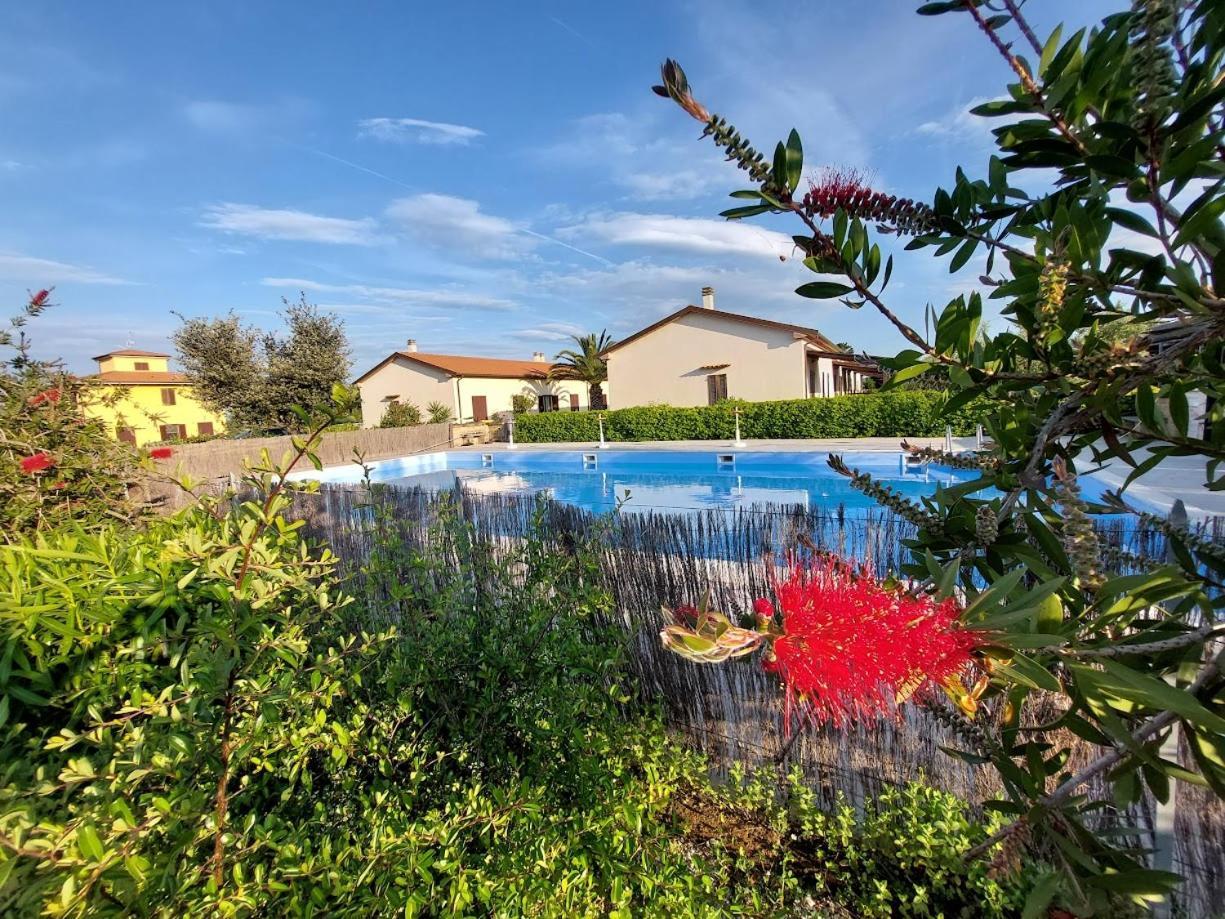 Agriturismo Il Tripesce Vada Bagian luar foto