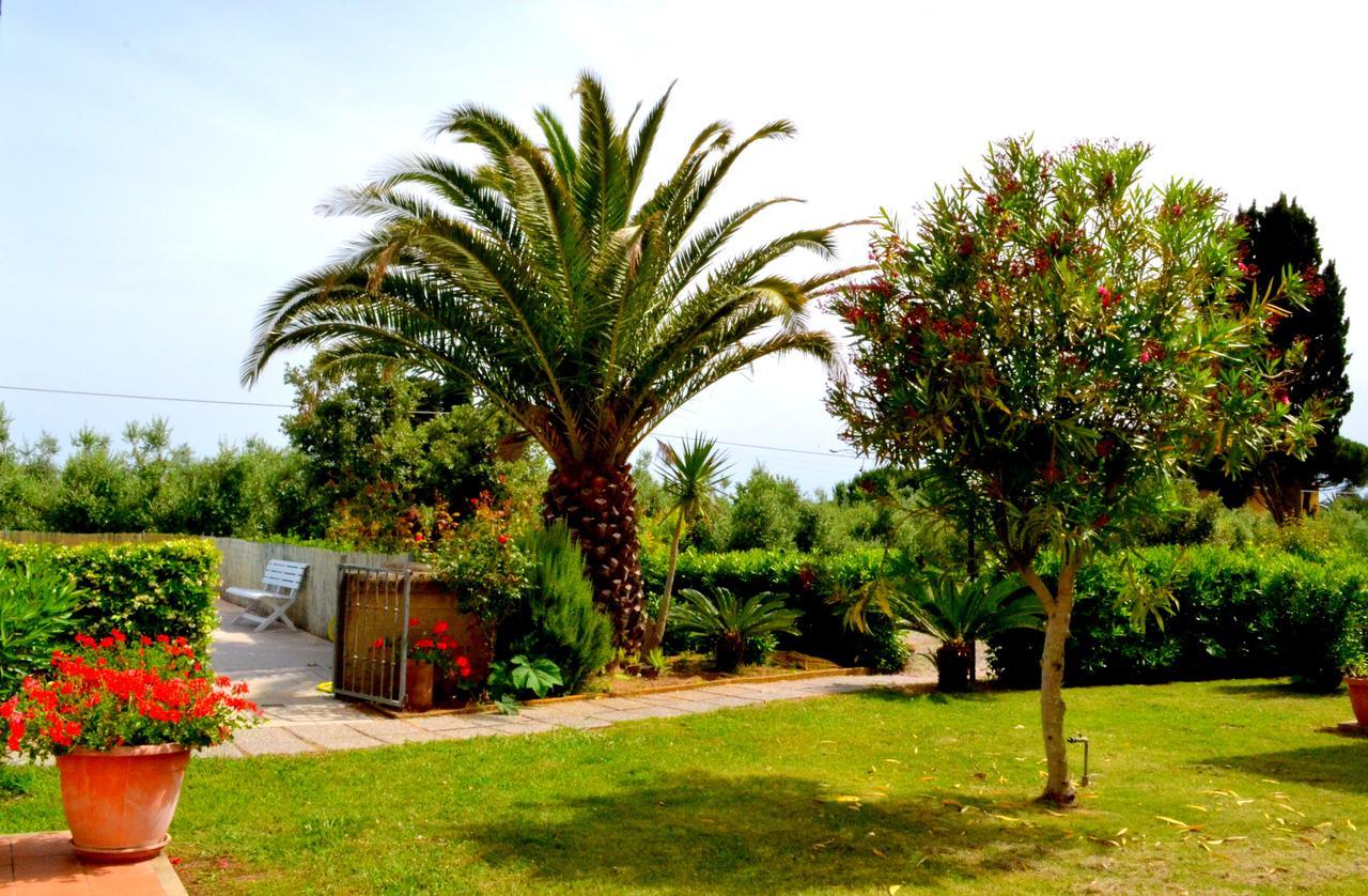 Agriturismo Il Tripesce Vada Bagian luar foto