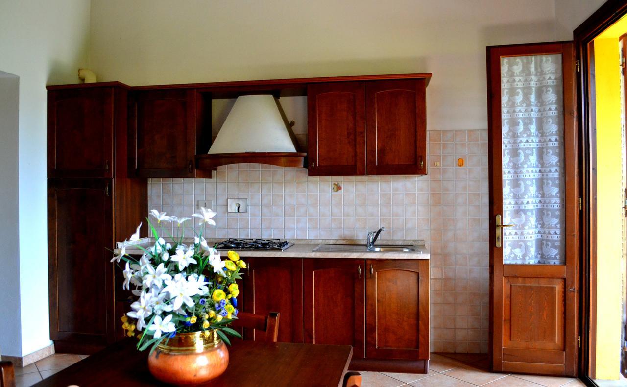 Agriturismo Il Tripesce Vada Bagian luar foto